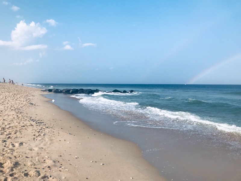 Vacation Reflection: Invasive Species, Quality Time, Sci-Fi Podcasts, Mindset, and Growing with the&nbsp;Flow