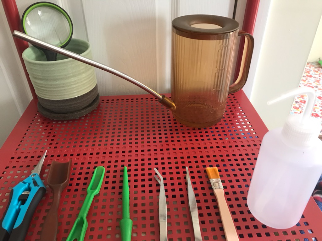 Leveling Up my Gardening Game with New&nbsp;Tools