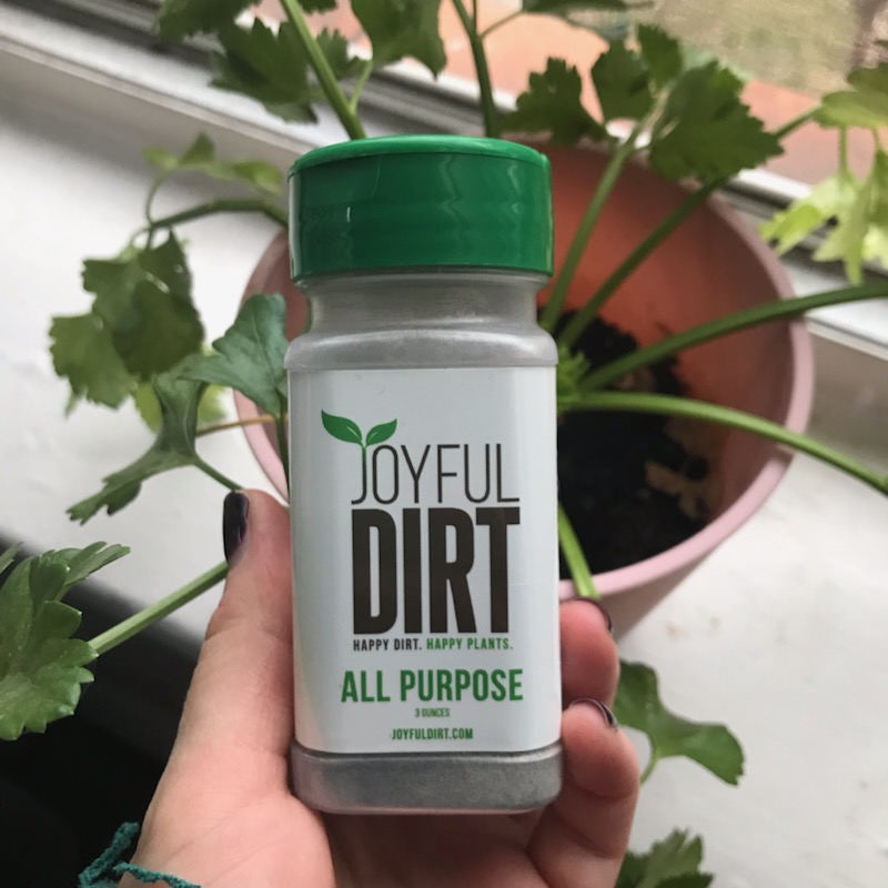 post-OCD-bed-ridden apartment garden&nbsp;rollcall