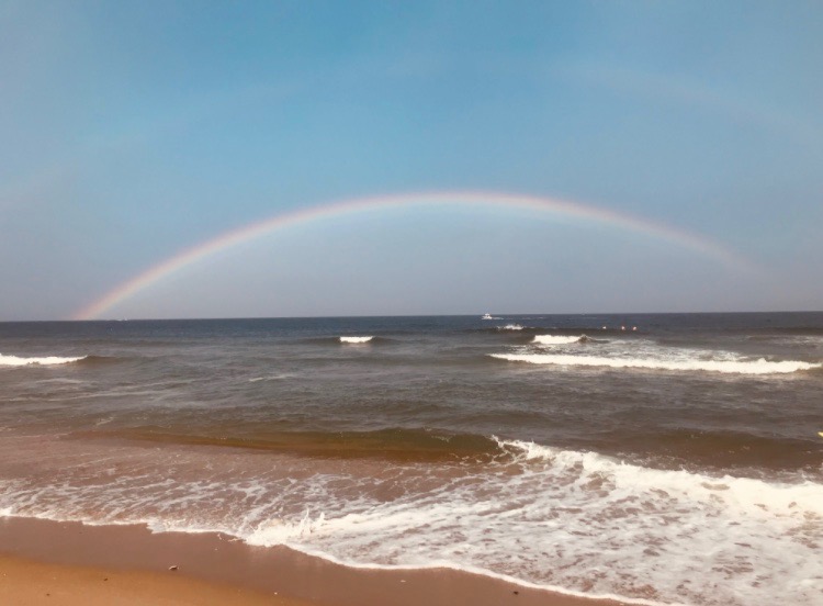 species loneliness project