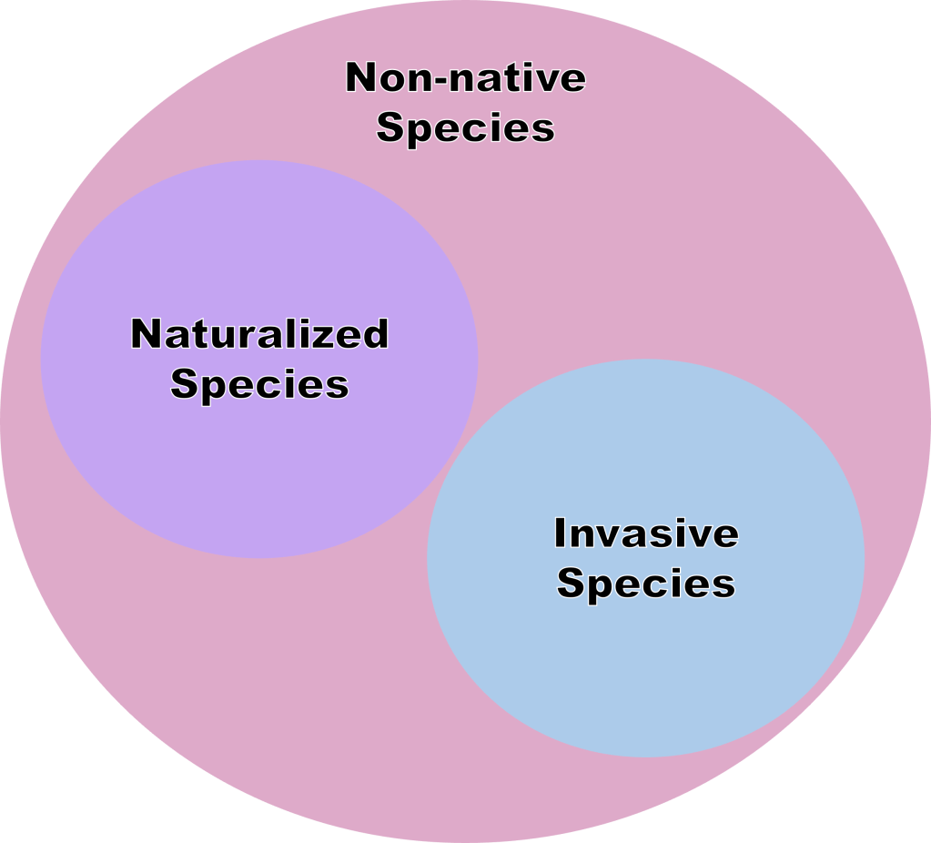 Let’s Talk: Invasive&nbsp;Species