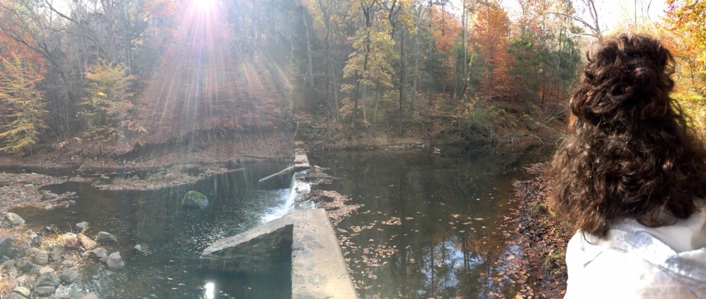Bowman's Hill Wildflower Preserve near New Hope, Pennsylvania