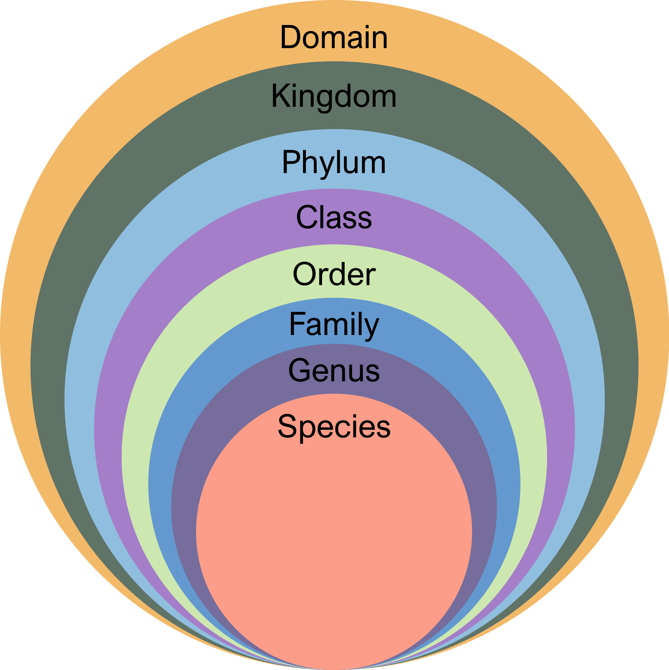 Taxonomic levels: Domain, Kingdom, Phylum, Class, Order, Family, Genus, Species.