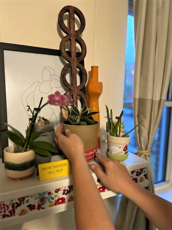 Hoya Carnosa ‘Krimson Princess’ Planter&nbsp;Design